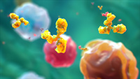 About BENLYSTA (belimumab)